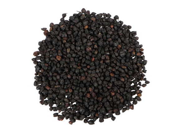 Elderberry