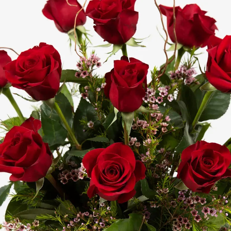 Romatic Reds